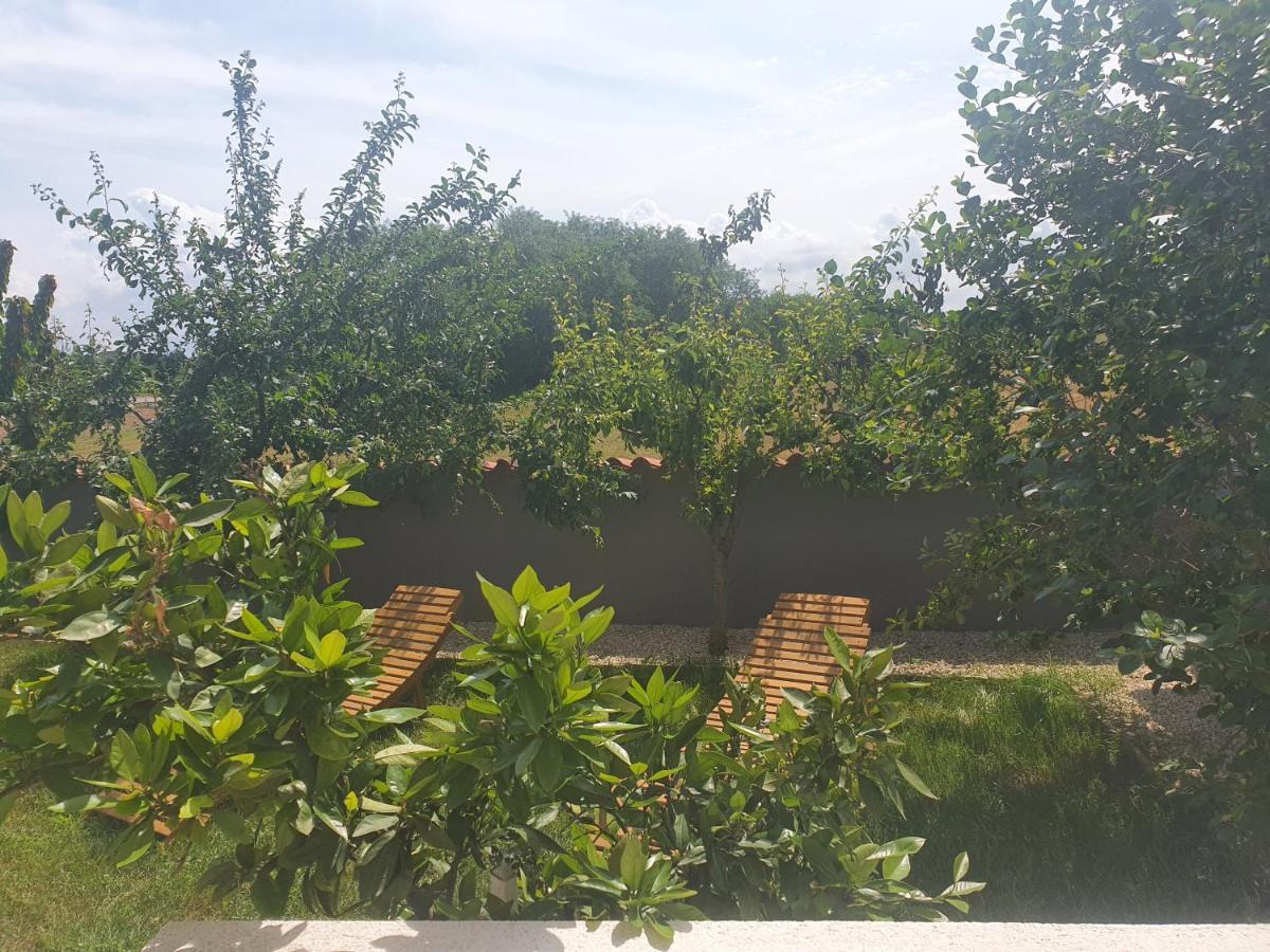 Villa Ancora Savudrija Extérieur photo