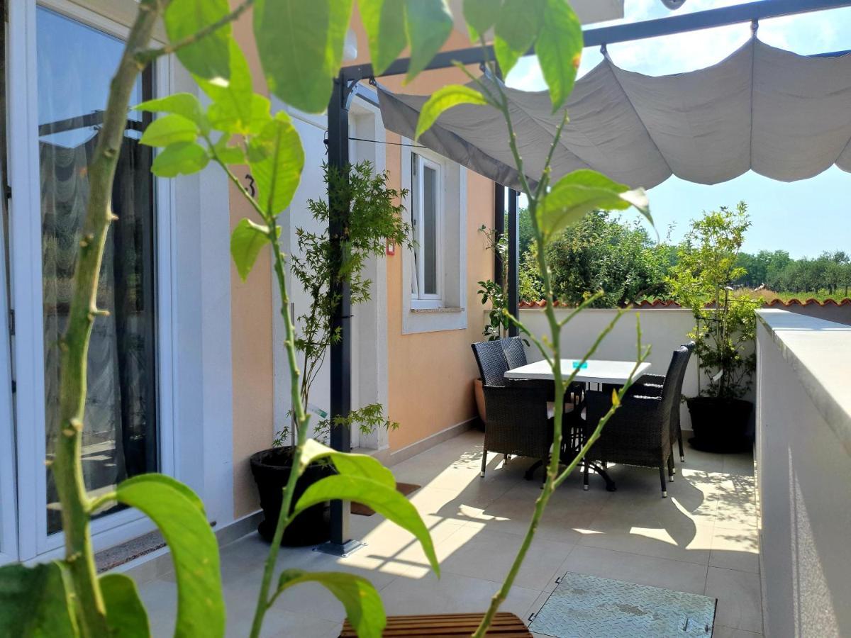 Villa Ancora Savudrija Extérieur photo